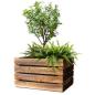 Preview: Geschenkbox XL für Gartenliebhaber