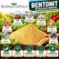 Preview: 5 kg Bentonit