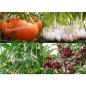 Preview: Terra Preta 80 Liter torffrei BioNaturPlus Premium