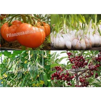 Terra Preta 80 Liter torffrei BioNaturPlus Premium