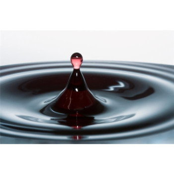 pflanzenkohle_aufladen_bioduenger_organischer_duenger_alternative_hornspäne