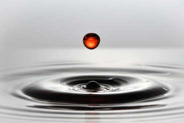 Guano Flüssigdünger Konzentrat 5Liter