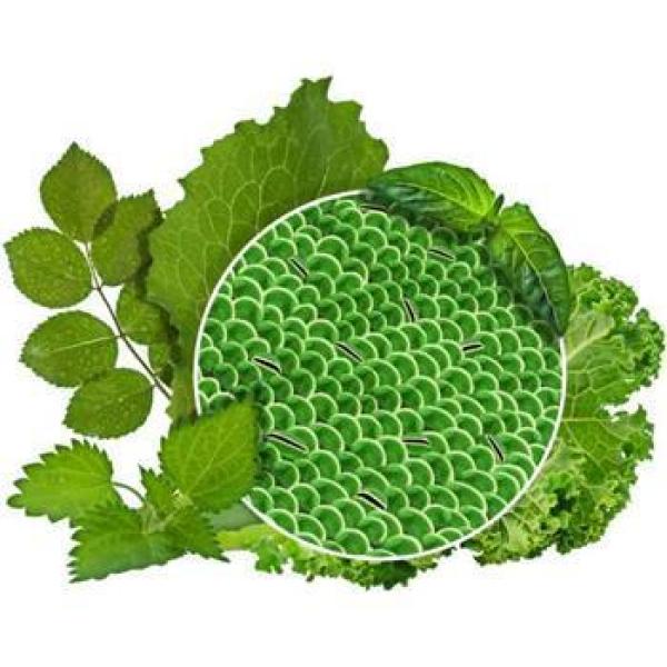 Blattdünger im BigBag 1000 Kg