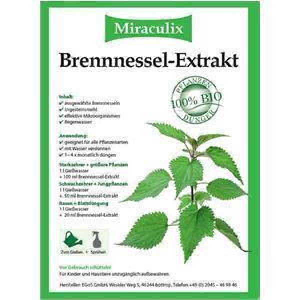 Brennessel-Extrakt