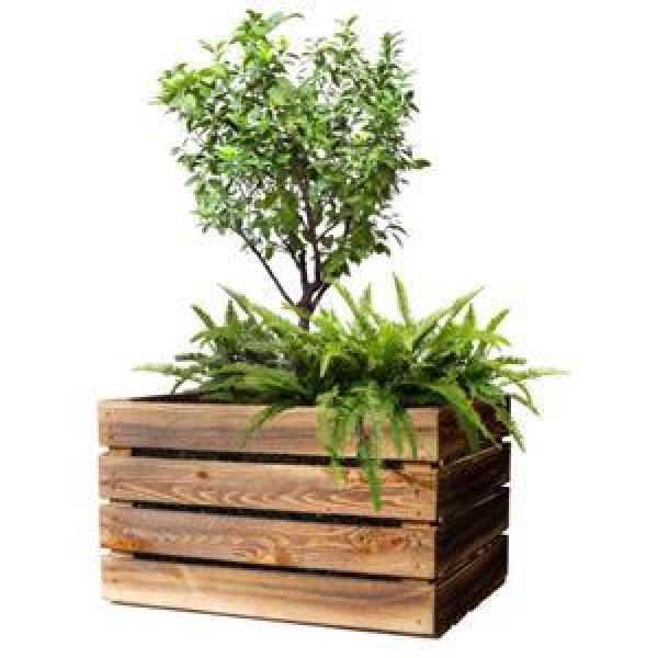 Geschenkbox XL für Gartenliebhaber