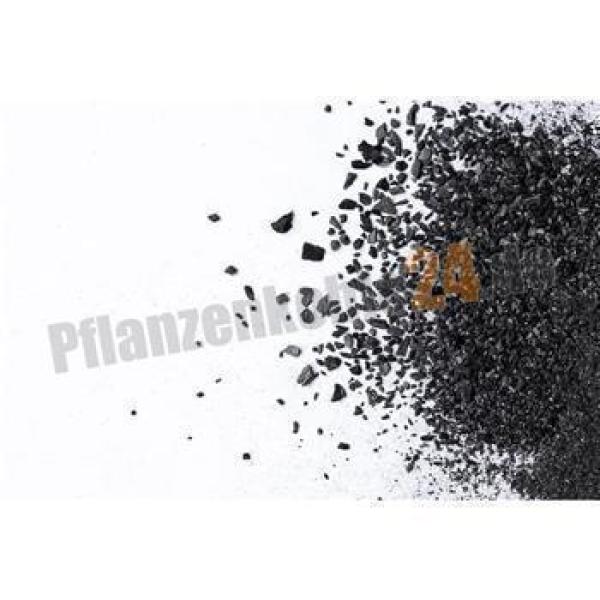 biokohle_nachhaltig_bio