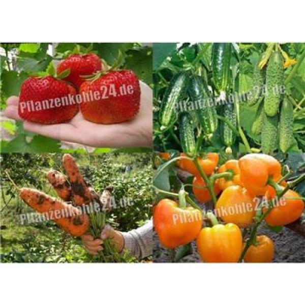 pflanzenkohle__herstellung_wirkung_was_bringt_wirklich_terrapreta