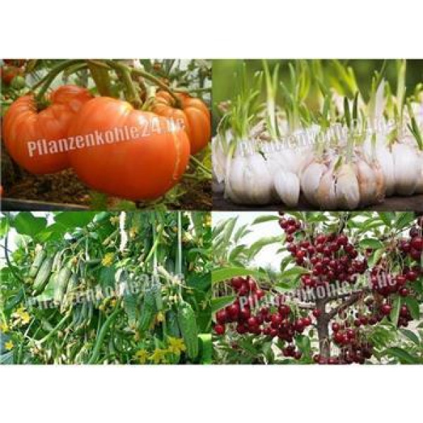 Terra Preta 80 Liter torffrei BioNaturPlus Premium