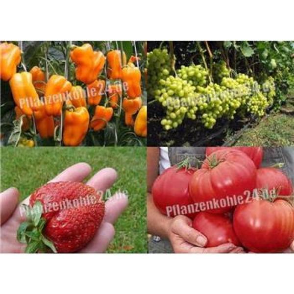 pflanzenkohle_terrapreta_bodenaktivator