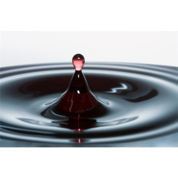 pflanzenkohle_aufladen_bioduenger_organischer_duenger_alternative_hornspäne