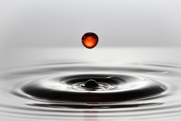 Guano Flüssigdünger Konzentrat 5Liter