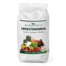 25 kg  Urgesteinsmehl