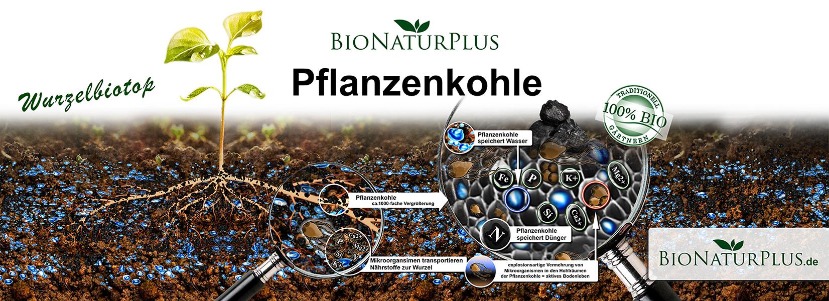 Pflanzenkohle Informationen - Terra Preta herstellen